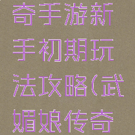 武媚娘传奇手游新手初期玩法攻略(武媚娘传奇换装游戏)