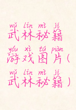 武林秘籍游戏图片(武林秘籍)