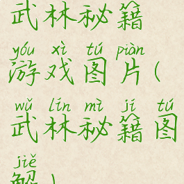 武林秘籍游戏图片(武林秘籍图解)