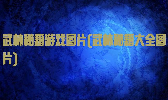 武林秘籍游戏图片(武林秘籍大全图片)