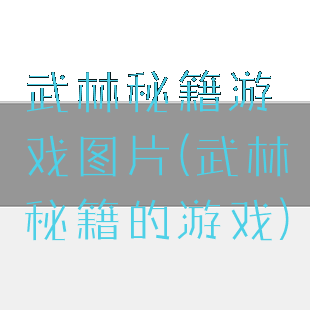 武林秘籍游戏图片(武林秘籍的游戏)
