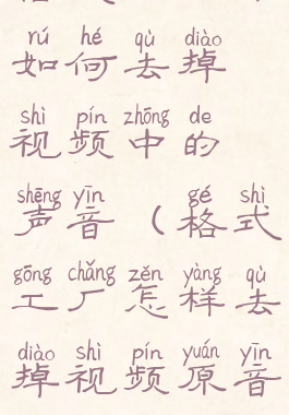 格式工厂中如何去掉视频中的声音(格式工厂怎样去掉视频原音)