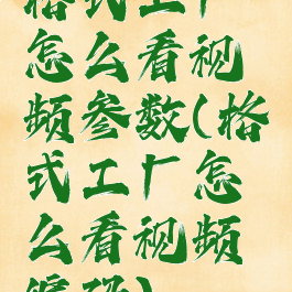 格式工厂怎么看视频参数(格式工厂怎么看视频编码)