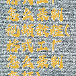 格式工厂怎么录制视频教程(格式工厂怎么录制音频)