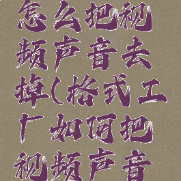 格式工厂怎么把视频声音去掉(格式工厂如何把视频声音去掉)