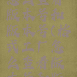 格式工厂怎么查看版本号和版本号(格式工厂怎么查看版本号和版本号码)