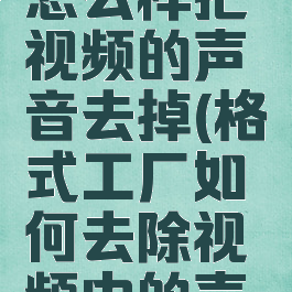 格式工厂怎么样把视频的声音去掉(格式工厂如何去除视频中的声音)