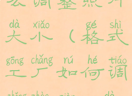 格式工厂怎么调整照片大小(格式工厂如何调整照片kb大小)