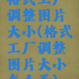 格式工厂调整图片大小(格式工厂调整图片大小怎么弄)