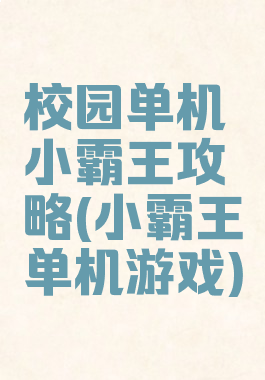 校园单机小霸王攻略(小霸王单机游戏)