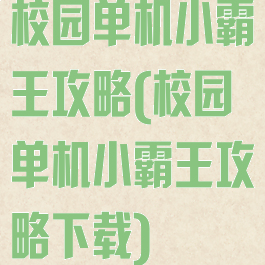 校园单机小霸王攻略(校园单机小霸王攻略下载)