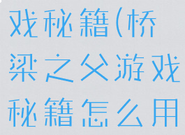 桥梁之父游戏秘籍(桥梁之父游戏秘籍怎么用)