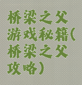 桥梁之父游戏秘籍(桥梁之父攻略)