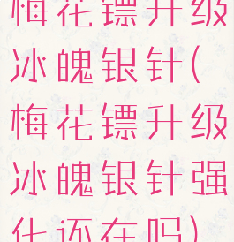 梅花镖升级冰魄银针(梅花镖升级冰魄银针强化还在吗)