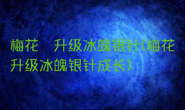 梅花镖升级冰魄银针(梅花镖升级冰魄银针成长)