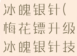 梅花镖升级冰魄银针(梅花镖升级冰魄银针技能会变吗)