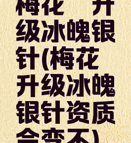 梅花镖升级冰魄银针(梅花镖升级冰魄银针资质会变不)