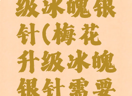 梅花镖升级冰魄银针(梅花镖升级冰魄银针需要多少)