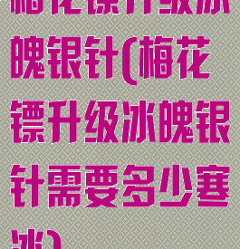 梅花镖升级冰魄银针(梅花镖升级冰魄银针需要多少寒冰)