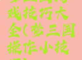 梦三国游戏技巧大全(梦三国操作小技巧)