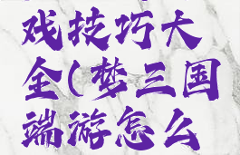 梦三国游戏技巧大全(梦三国端游怎么玩)