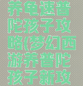 梦幻手游养龟速普陀孩子攻略(梦幻西游养普陀孩子新攻略)