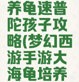 梦幻手游养龟速普陀孩子攻略(梦幻西游手游大海龟培养龟速)