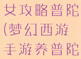 梦幻手游子女攻略普陀(梦幻西游手游养普陀孩子攻略)
