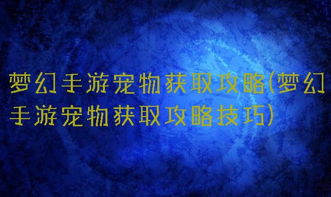 梦幻手游宠物获取攻略(梦幻手游宠物获取攻略技巧)