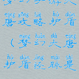 梦幻手游大唐攻略护盾(梦幻大唐护盾经脉是)