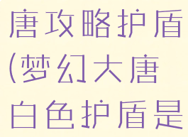 梦幻手游大唐攻略护盾(梦幻大唐白色护盾是什么)