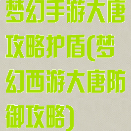 梦幻手游大唐攻略护盾(梦幻西游大唐防御攻略)