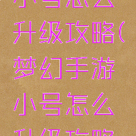 梦幻手游小号怎么升级攻略(梦幻手游小号怎么升级攻略大全)