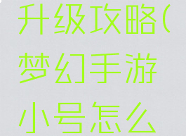 梦幻手游小号怎么升级攻略(梦幻手游小号怎么升级攻略视频)