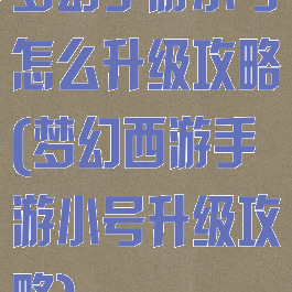 梦幻手游小号怎么升级攻略(梦幻西游手游小号升级攻略)