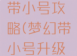 梦幻手游带小号攻略(梦幻带小号升级攻略)