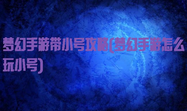 梦幻手游带小号攻略(梦幻手游怎么玩小号)