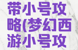 梦幻手游带小号攻略(梦幻西游小号攻略)