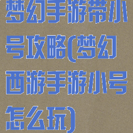 梦幻手游带小号攻略(梦幻西游手游小号怎么玩)