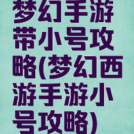 梦幻手游带小号攻略(梦幻西游手游小号攻略)
