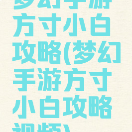 梦幻手游方寸小白攻略(梦幻手游方寸小白攻略视频)
