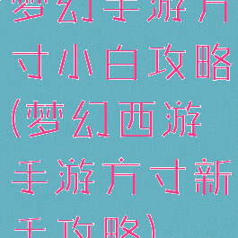 梦幻手游方寸小白攻略(梦幻西游手游方寸新手攻略)