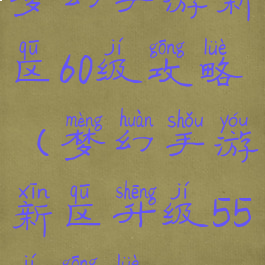 梦幻手游新区60级攻略(梦幻手游新区升级55级攻略)