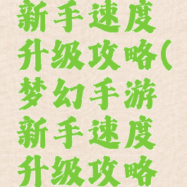 梦幻手游新手速度升级攻略(梦幻手游新手速度升级攻略大全)