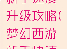 梦幻手游新手速度升级攻略(梦幻西游新手快速升级攻略)