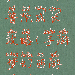 梦幻手游普陀成长攻略(手游梦幻西游普陀攻略)