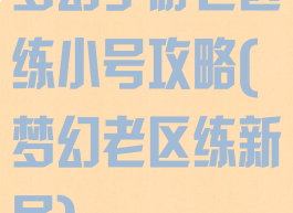 梦幻手游老区练小号攻略(梦幻老区练新号)