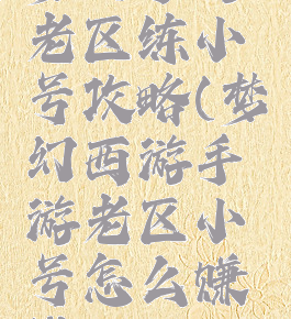 梦幻手游老区练小号攻略(梦幻西游手游老区小号怎么赚钱)