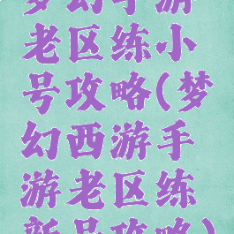 梦幻手游老区练小号攻略(梦幻西游手游老区练新号攻略)