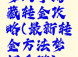 梦幻手游藏转金攻略(最新转金方法梦幻手游)